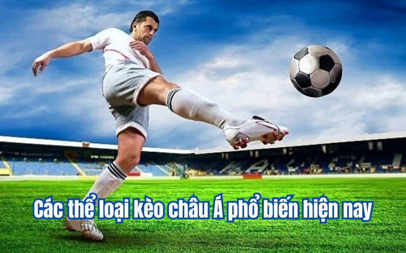 Các thể loại kèo châu Á phổ biến hiện nay